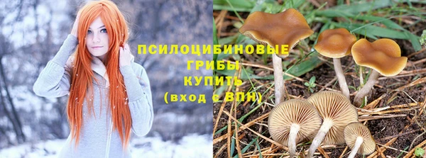 твердый Белокуриха