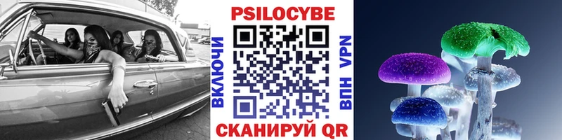 Псилоцибиновые грибы Psilocybe Дербент